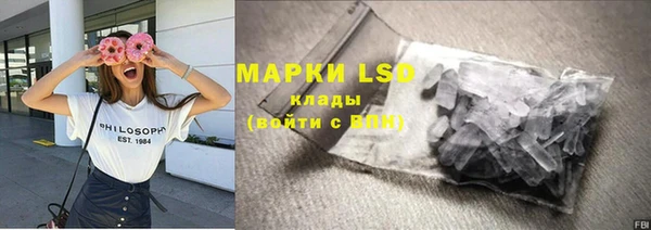 сатива Аркадак