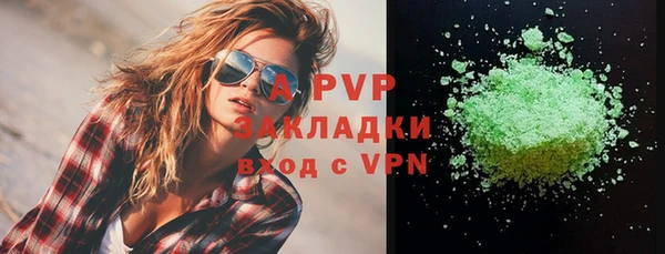 сатива Аркадак