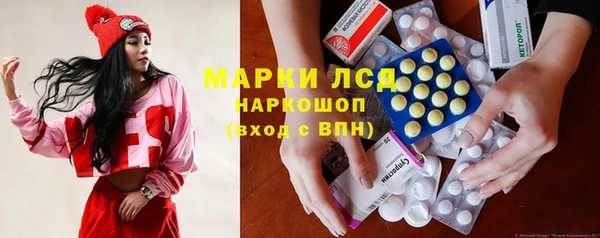 сатива Аркадак
