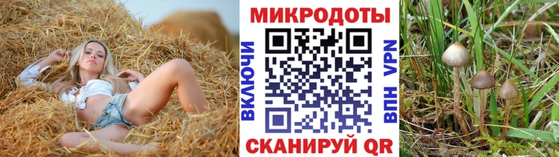 сколько стоит  блэк спрут ССЫЛКА  Псилоцибиновые грибы Magic Shrooms  Полесск 